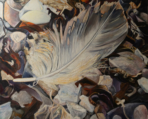 Am Strand /  Feder auf Tang und Steinen Ute Meyer