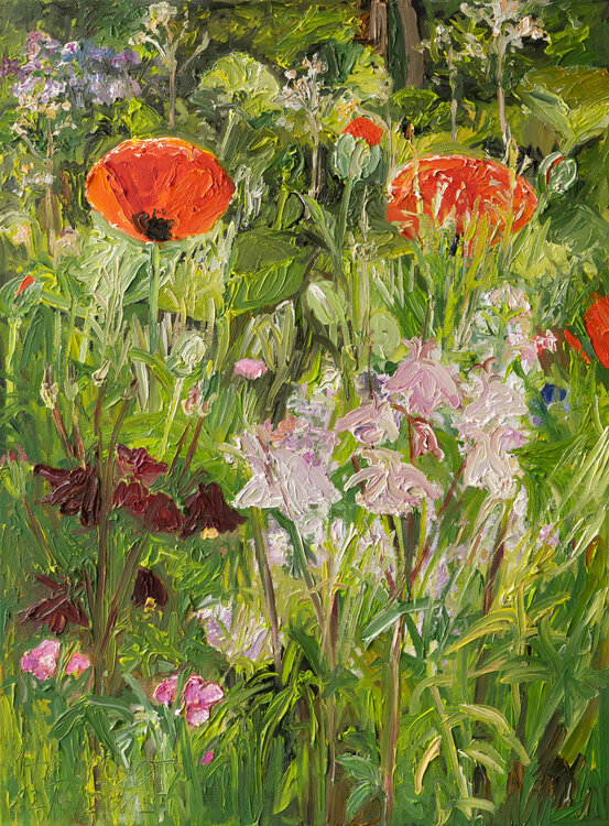 Mohn und Akelei Ute Meyer