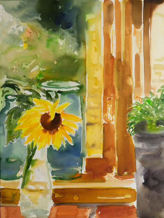 Sonnenblume auf der Fensterbank Ute Meyer