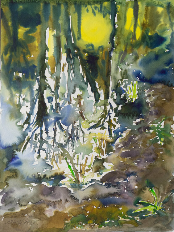 Spiegelung der Wintersonne I Ute Meyer