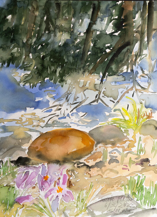 Krokus am Teich Ute Meyer