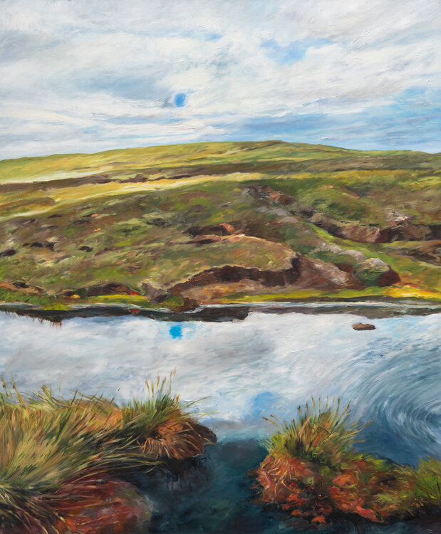 Torfbänke bei Sullom/ Shetland Ute Meyer