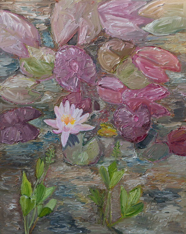 Seerosenblüte Ute Meyer