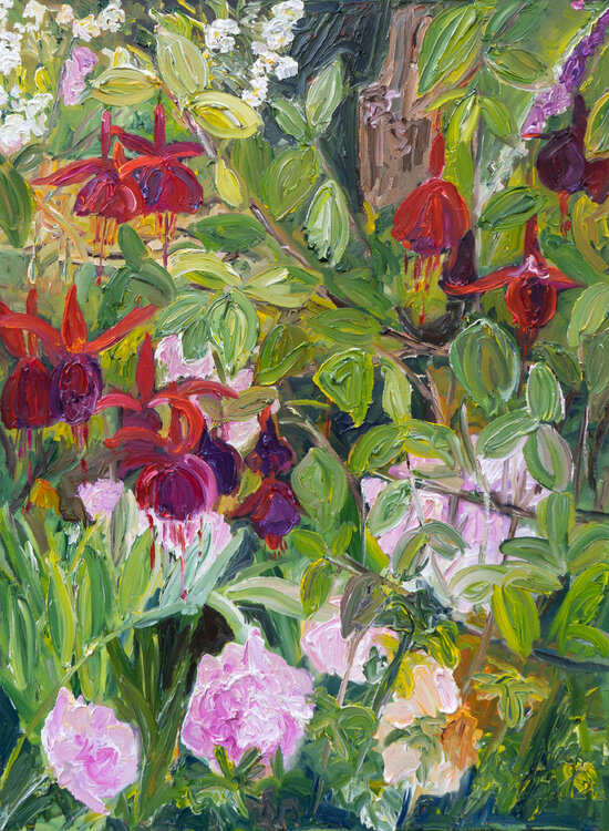 Fuchsien Ute Meyer