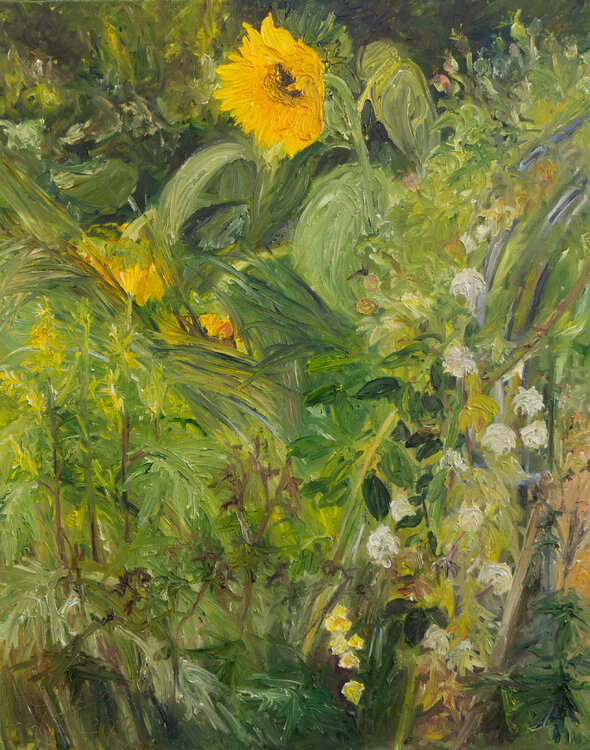 Sonnenblumen Ute Meyer