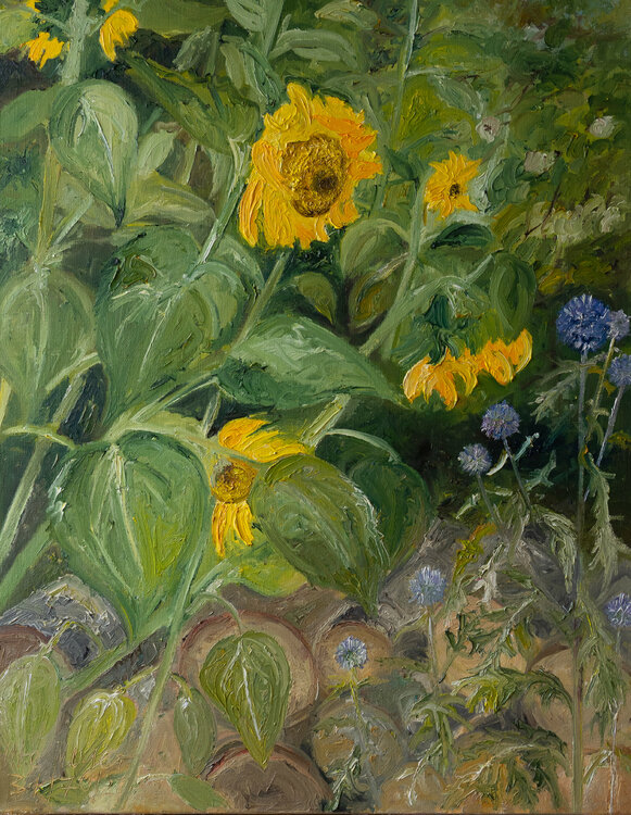 Sonnenblumen Ute Meyer