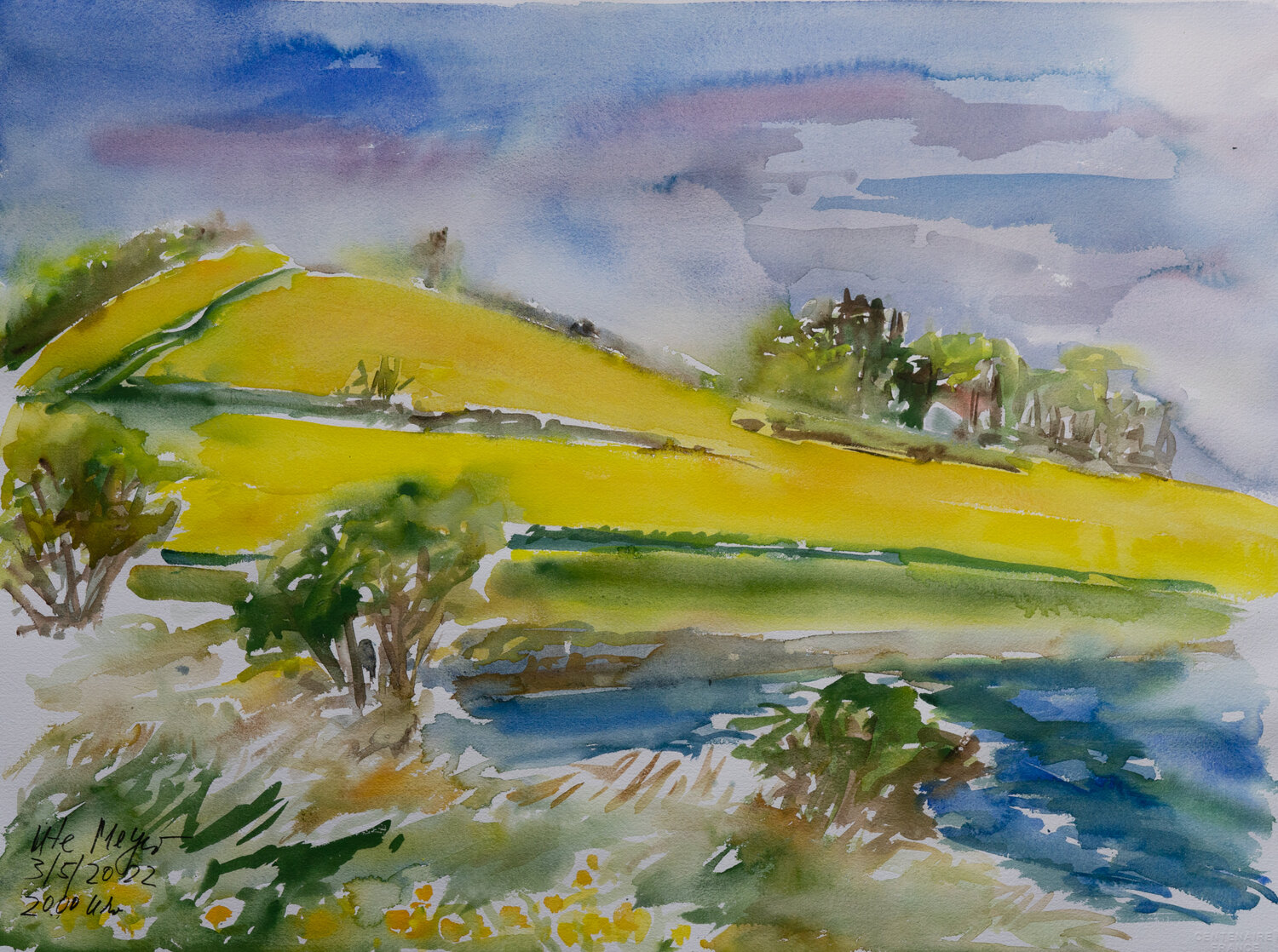 Sct.Albert/Ærø Ute Meyer