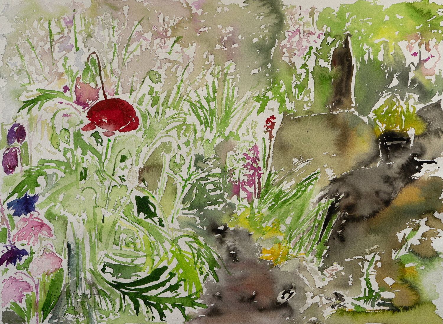 Mohn und Akelei Ute Meyer