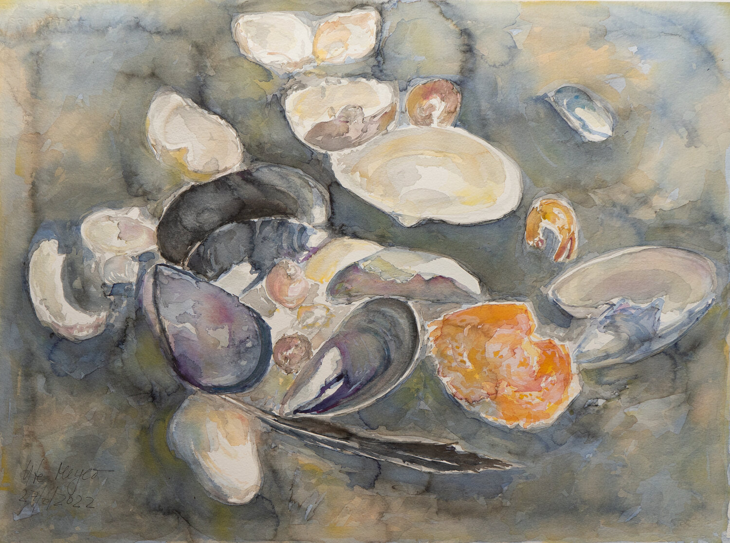 Tang, Muscheln, Feder und Krebsschale Ute Meyer Originalgemälde zu verkaufen