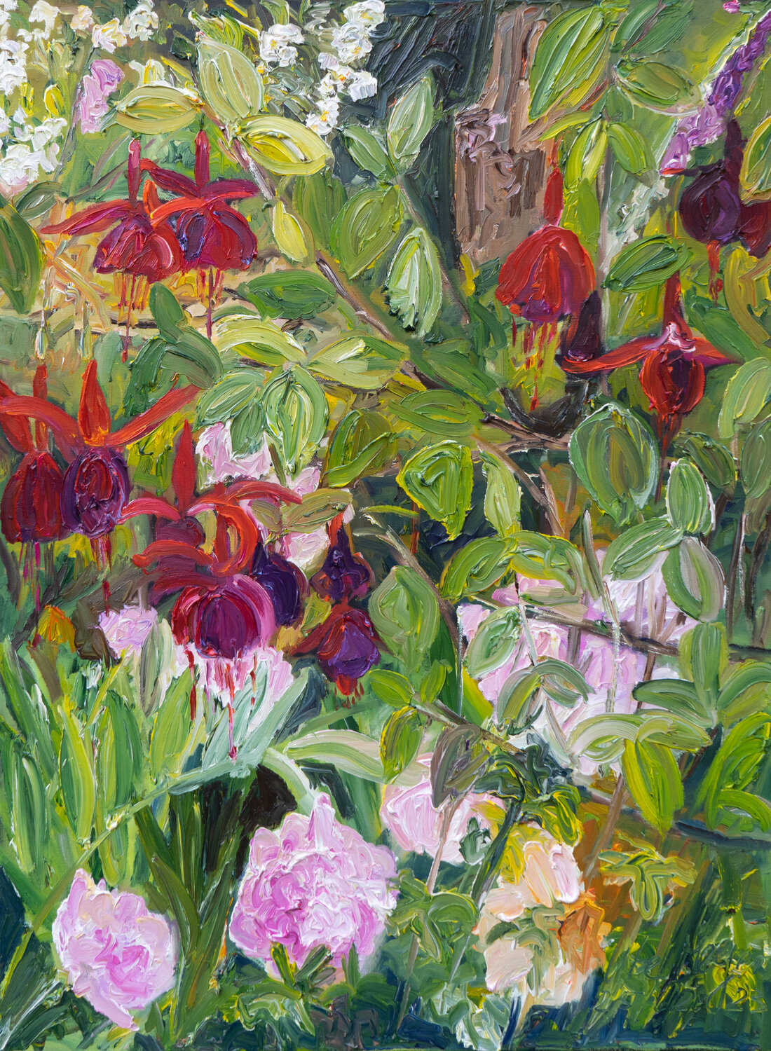 Fuchsien Ute Meyer