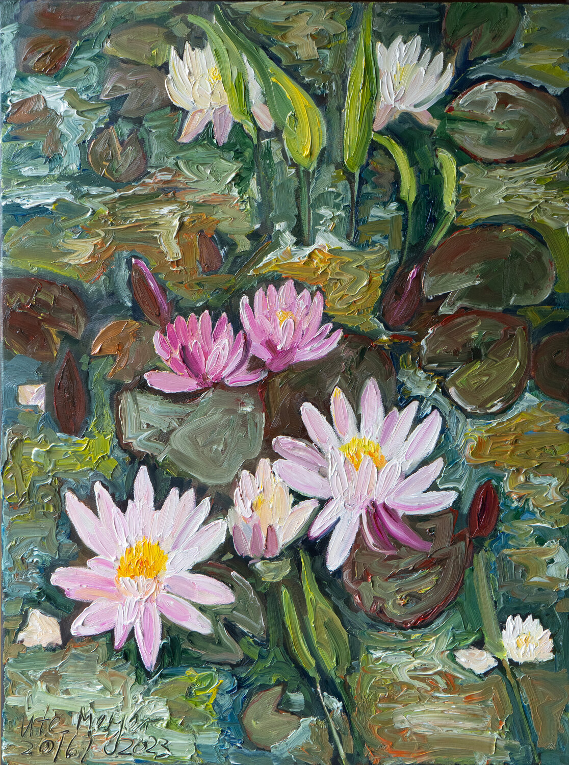 Seerosen Ute Meyer