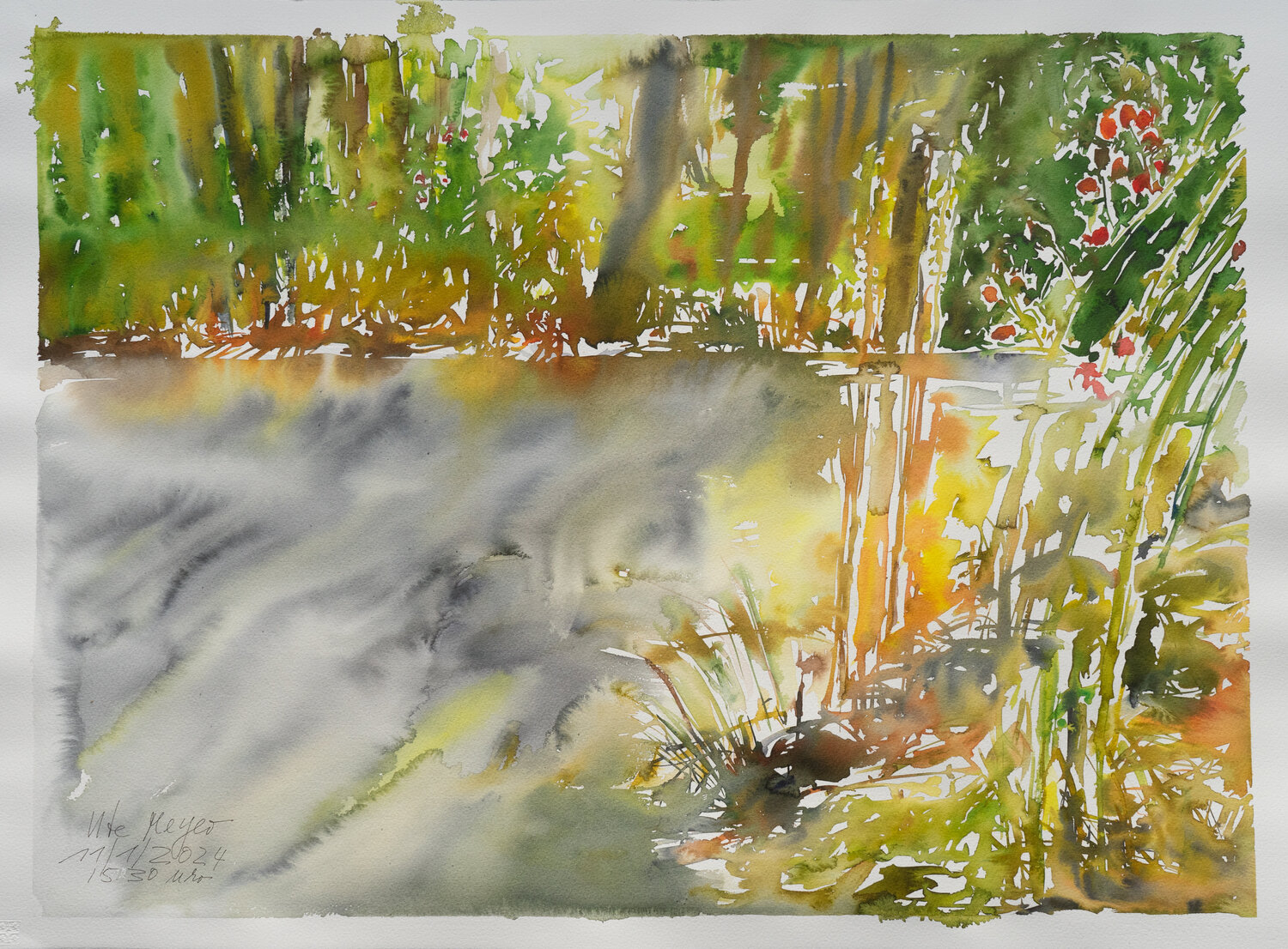 Wintersonne auf dem Teich Ute Meyer