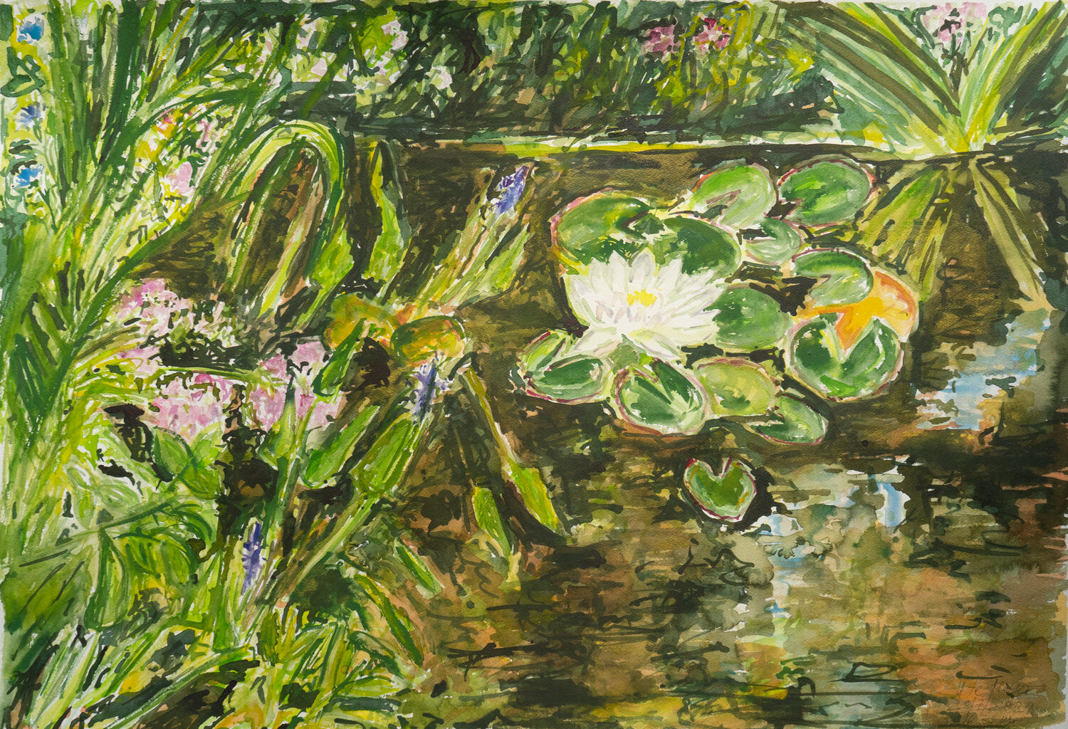 Weiße Seerose Ute Meyer