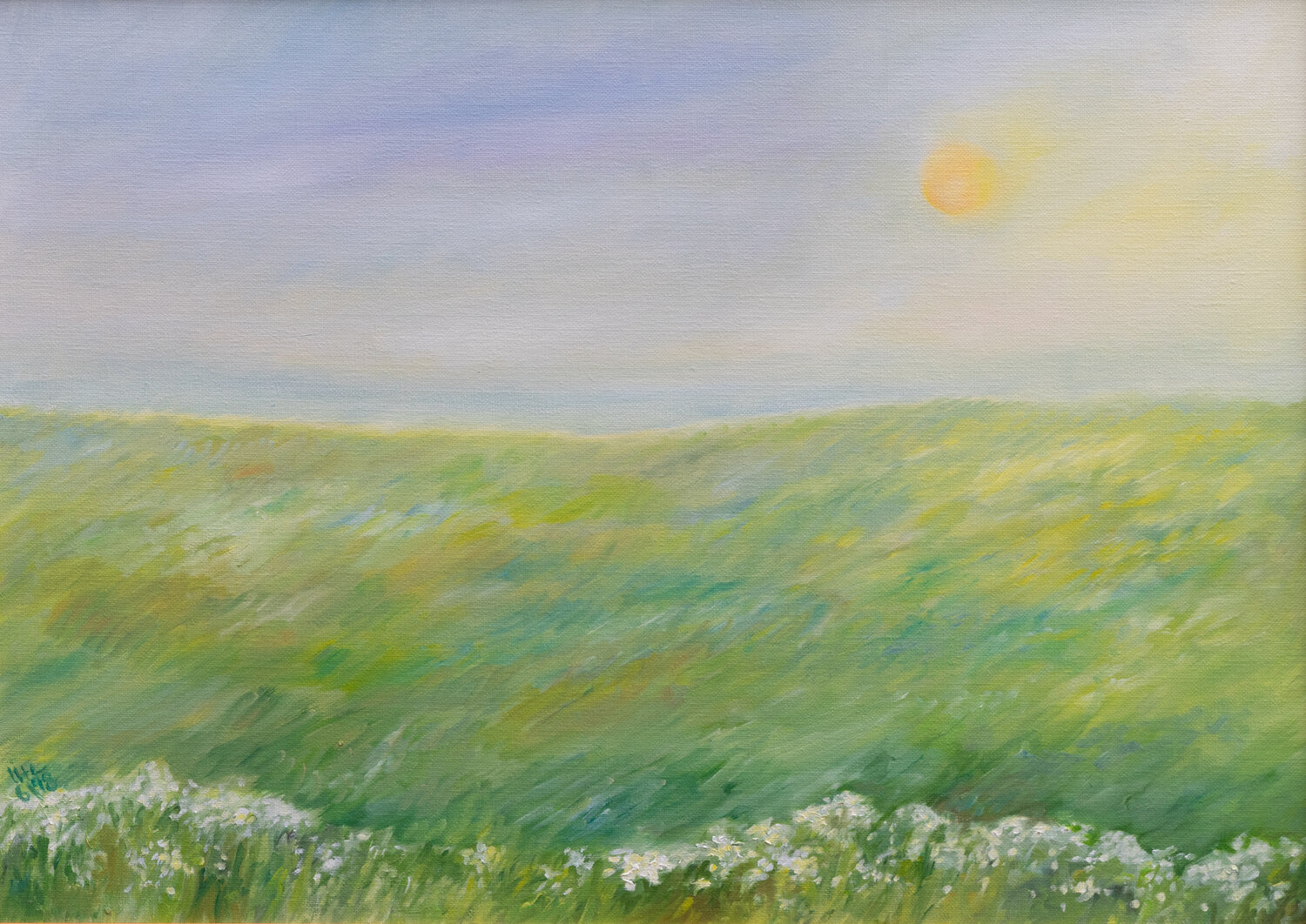 Morgensonne auf der Wiese im Juni Ute Meyer