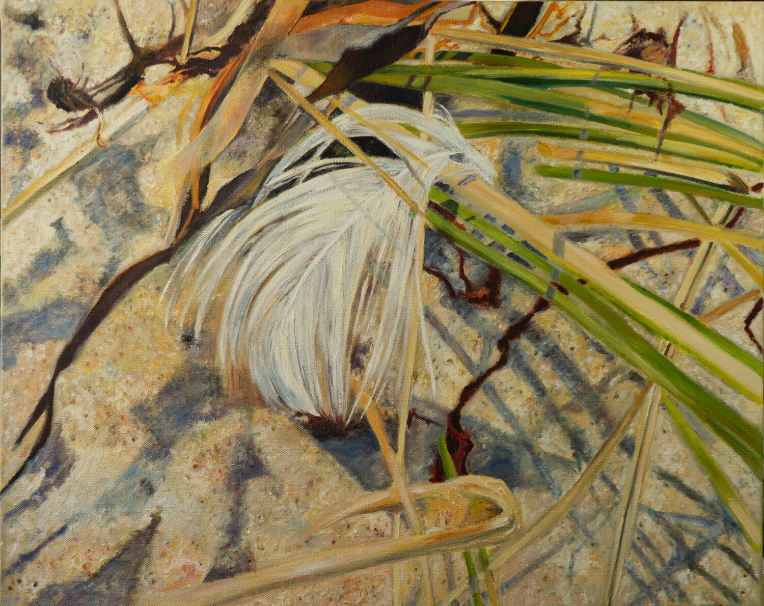 Feder und Halme Ute Meyer