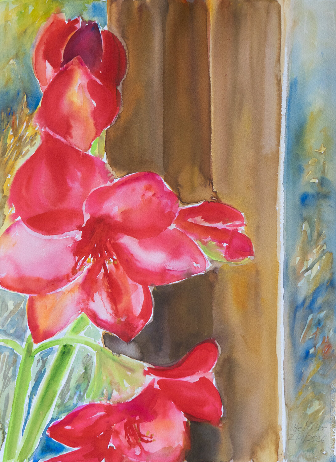 Rote Amaryllis - Blüten vor dem Fenster Ute Meyer Dipinto originale in vendita