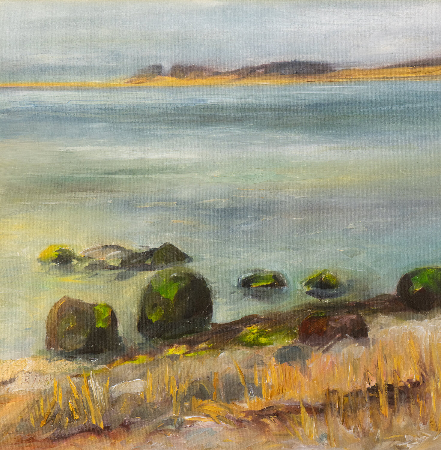 Ruhige Ostsee  / Borgnaes /  Ærø Ute Meyer