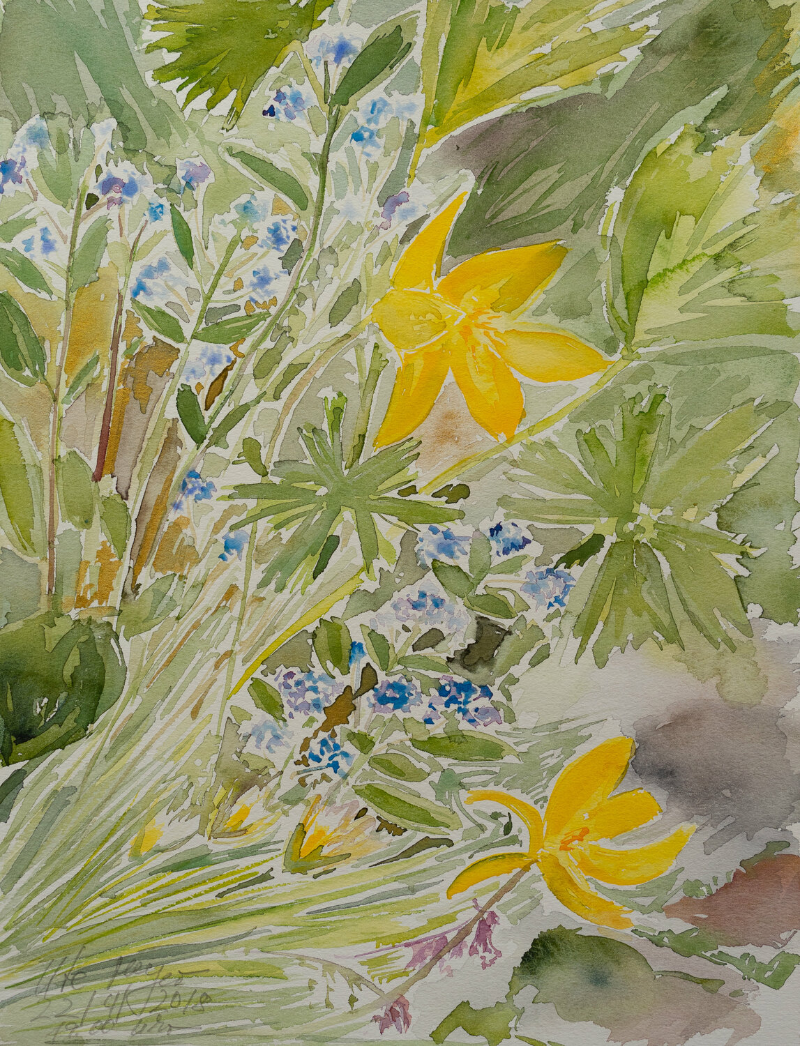 Wildtulpen Ute Meyer