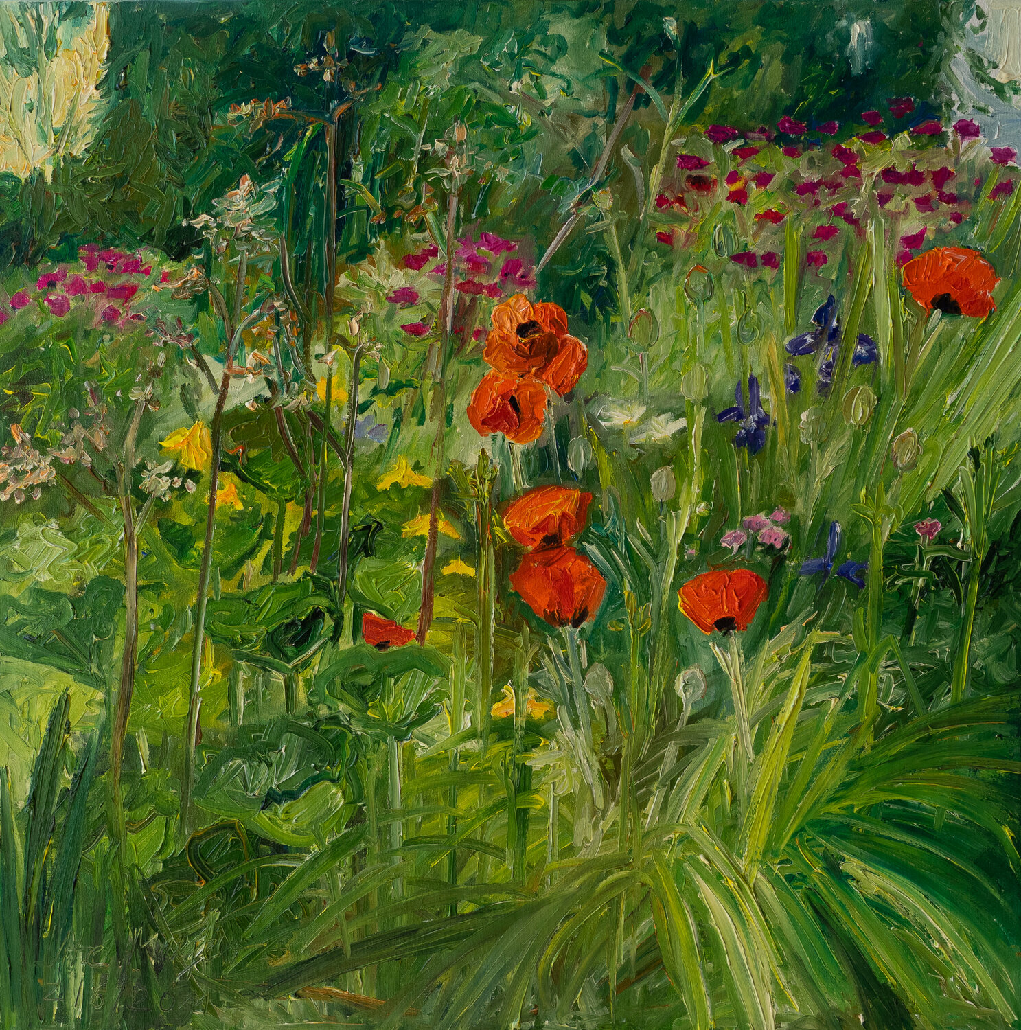 Mohn und Schwertlilien Ute Meyer