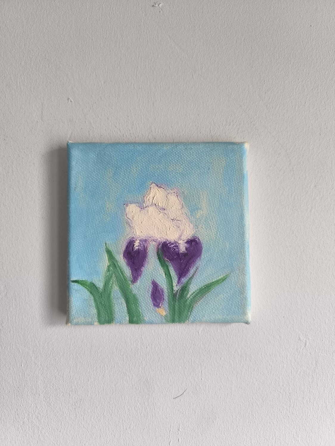 Iris Richard Morgan