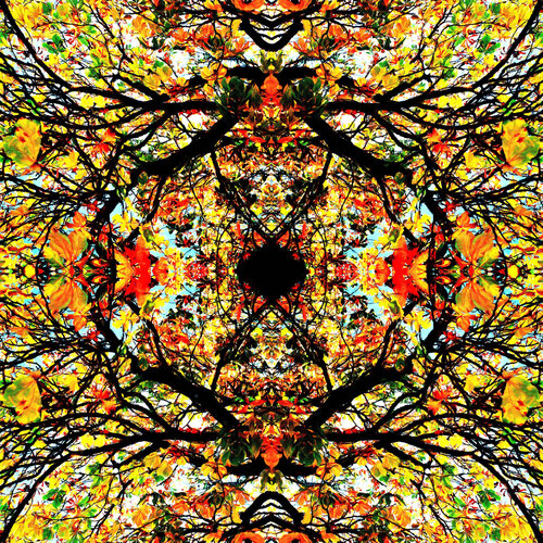 Mandala 1 by Franz Huempfner, 사진 for Sale on Singulart