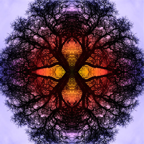 Mandala 5 by Franz Huempfner, 사진 for Sale on Singulart