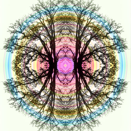 Mandala 6 by Franz Huempfner, 사진 for Sale on Singulart