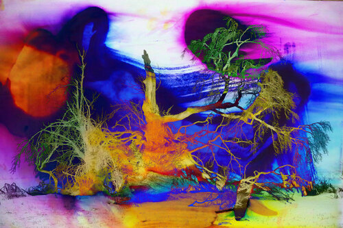 Painting Photography  No 1 by Franz Huempfner, 인쇄 for Sale on Singulart
