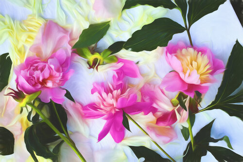 Herbarium  No 28, peonies after Georgia O’Keeffe by Franz Huempfner, 인쇄 for Sale on Singulart