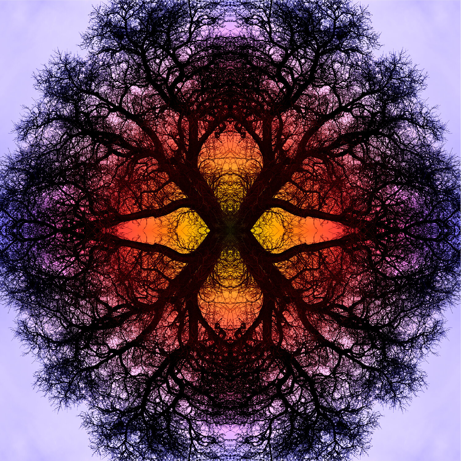 Mandala 5 Franz Huempfner