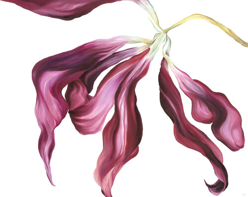 Tulpe Nr. 17, Die Schwebende van Veronika Seebass, Schilderij te koop op Singulart