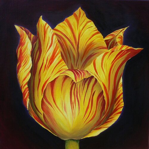 Tulpe Nr. 61, Vanitas von Veronika Seebass, Malerei kaufen auf Singulart