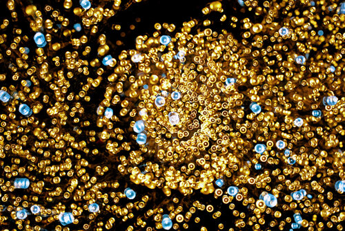Trilogie Avenue Montaigne I by Saima Altunkaya, Photography for Sale on Singulart