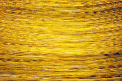 Fusion Dorée III van Saima Altunkaya, Fotografie te koop op Singulart