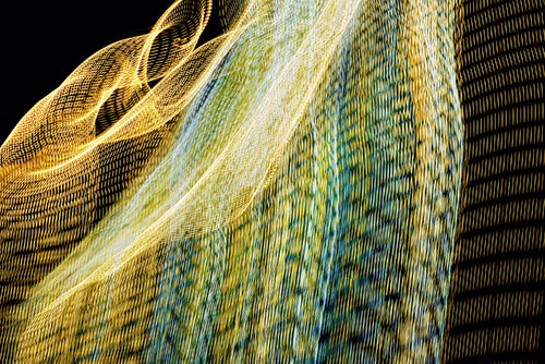 Beauty of Speed VII by Saima Altunkaya, Photography for Sale on Singulart