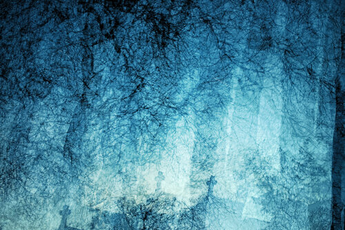 Nocturne by Saima Altunkaya, Photography for Sale on Singulart
