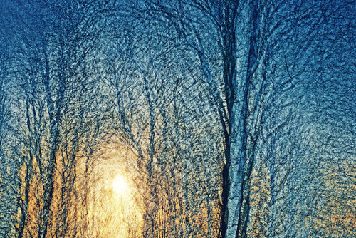 Nightfall de Saima Altunkaya, Fotografía a la venta en Singulart