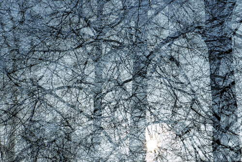 Into the Light IV di Saima Altunkaya, Fotografia in vendita su Singulart