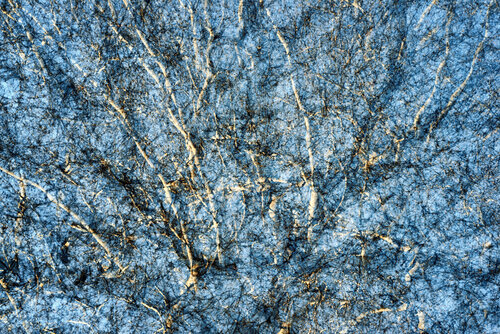 Shadow Remains II de Saima Altunkaya, Fotografía a la venta en Singulart