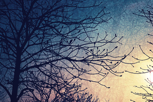 Into the Light II di Saima Altunkaya, Fotografia in vendita su Singulart