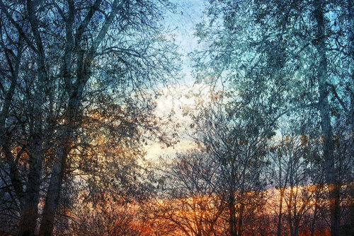 The Echo Within I de Saima Altunkaya, Fotografía a la venta en Singulart