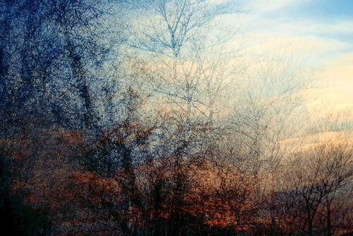 The Echo Within IV van Saima Altunkaya, Fotografie te koop op Singulart