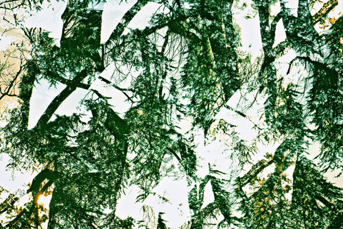 Nothing is Whole I van Saima Altunkaya, Fotografie te koop op Singulart