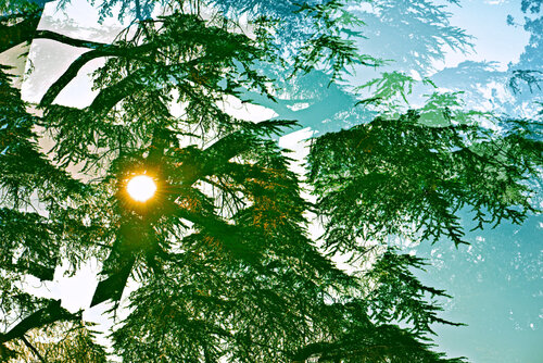 Nothing is Whole III de Saima Altunkaya, Fotografía a la venta en Singulart