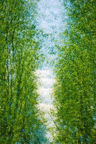 Confession I de Saima Altunkaya, Fotografía a la venta en Singulart