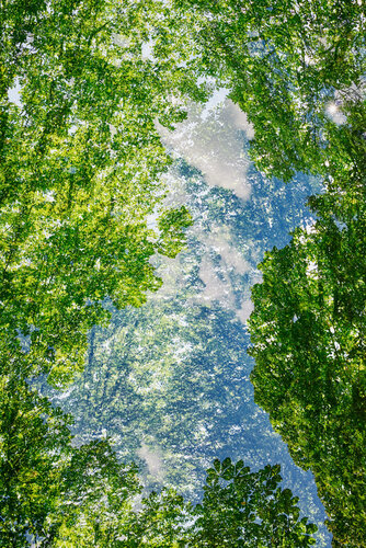 In Between Heaven and Earth ! de Saima Altunkaya, Fotografía a la venta en Singulart