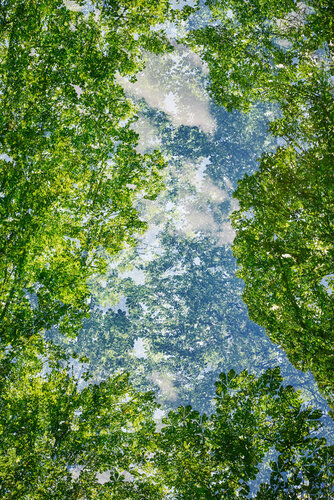 In Between Heaven and Earth !I de Saima Altunkaya, Fotografía a la venta en Singulart