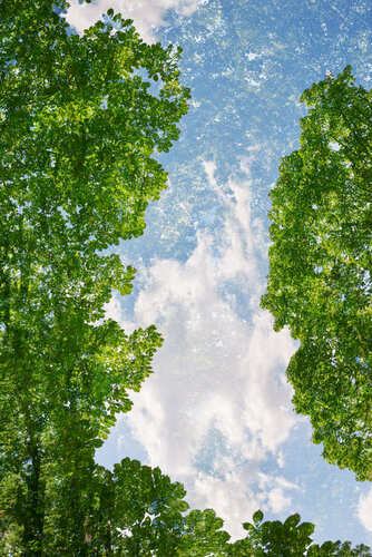 In Between Heaven and Earth !II de Saima Altunkaya, Fotografía a la venta en Singulart