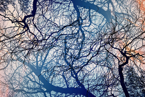 Résonance I Saima Altunkaya