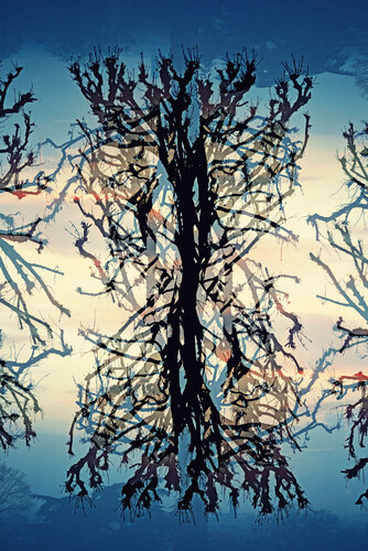 Résonance II van Saima Altunkaya, Fotografie te koop op Singulart